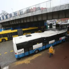 Autobusy miejskie czekają na pasażerów. W tle widać inne pojazdy, tworząc obraz miejskiego carpoolingu.