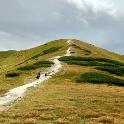 Szlak turystyczny na szczyt, idealne miejsce, by zobaczyć, co zwiedzić w Zakopanem.