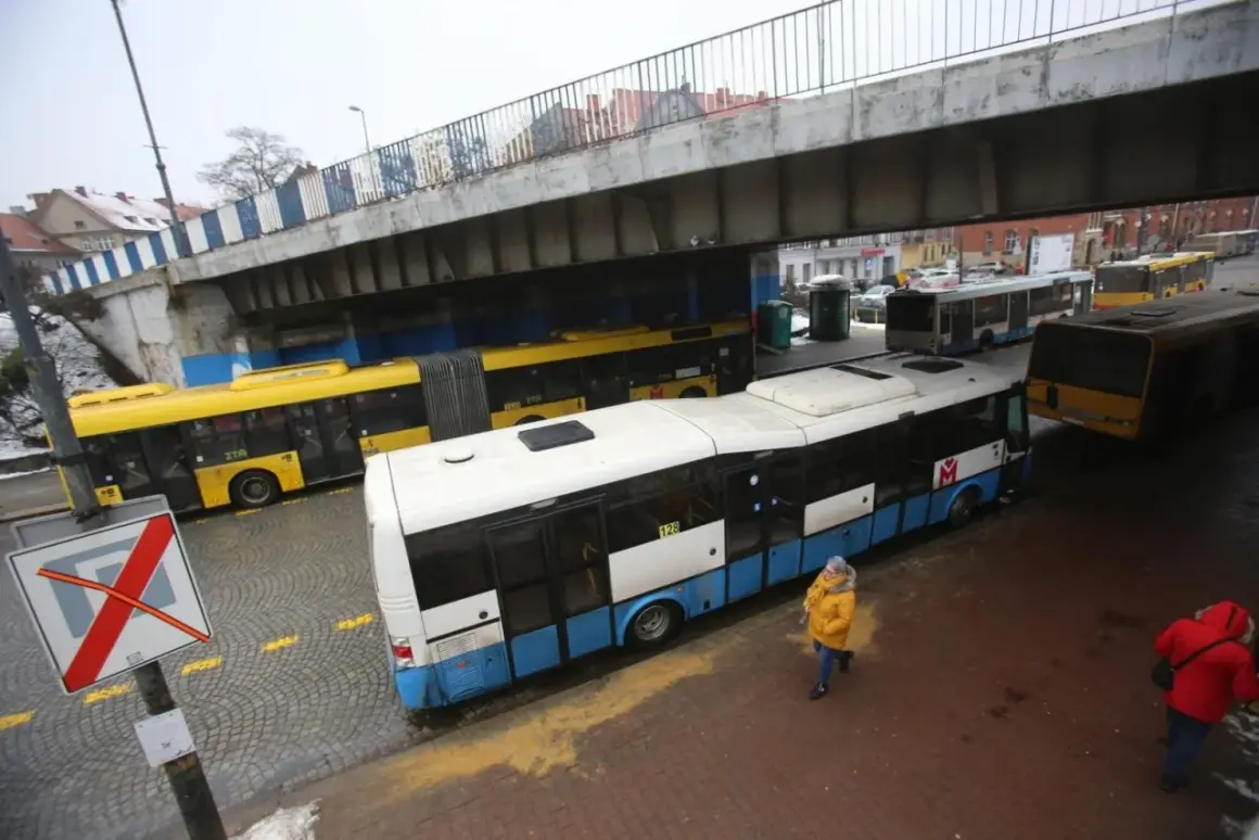 Autobusy miejskie czekają na pasażerów. W tle widać inne pojazdy, tworząc obraz miejskiego carpoolingu.