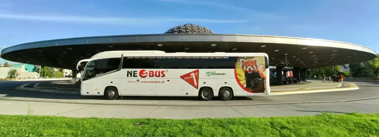 Autobus Neobus z wizerunkiem pandki rudej oferuje tanie bilety na autobus z Polski. Podróżuj ekologicznie!